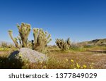 Desrt rock with cactus and hills