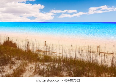 Destin Beach In Florida Ar Henderson State Park USA