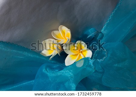 Destination wedding on a white sand beach during summer. Exotic wedding with frangipani decorated on guest sitting chair