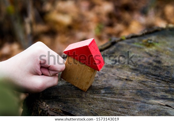 To destroy with the hand, fist house\
out of blocks. Break house, hearth, family. A small toy house made\
of wood with a red roof falls from a\
punch.