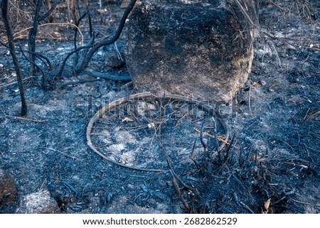 A Destroyed Bicycle in a Scorched Forest The Concept of a Tragedy