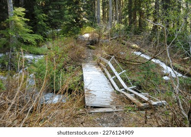 Destroyed bridge on a hiking trail in a dense forest
