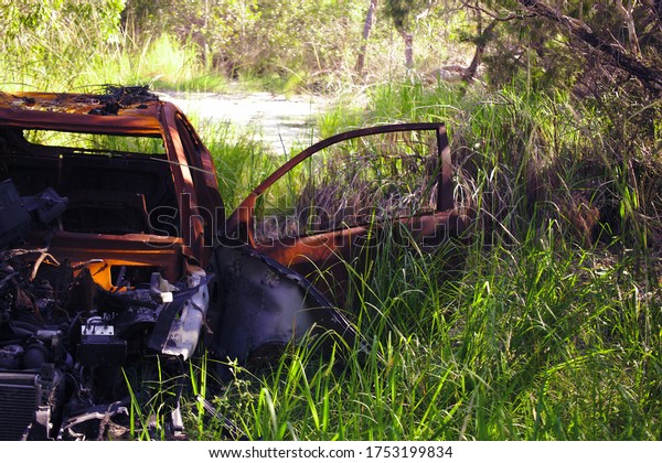 Destroyed, burned and rusted car lies rotting in\
some long grass