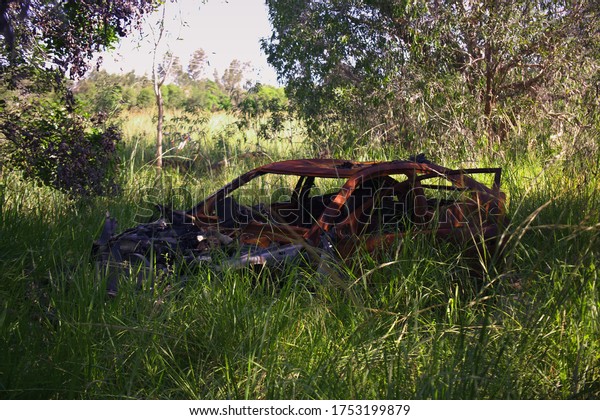 Destroyed, burned and rusted car lies rotting in\
some long grass