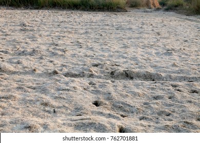 Destroyed Crop Due Heavy Rain Fall Stock Photo 762701881 | Shutterstock