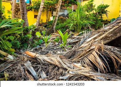 Destroyed Houses From Hurricane Maria In Puerto Rico