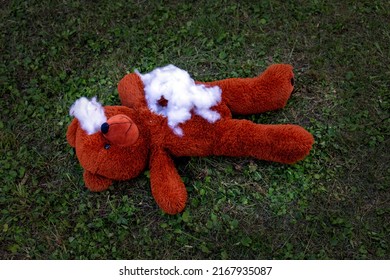 destroyed stuffed teddy bear lying on the floor outdoors