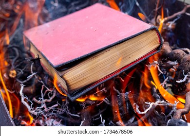 Destruction of books. Book with a red cover in fire