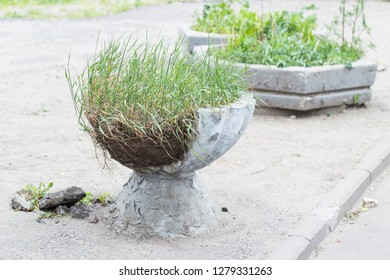 Destruction Of Urban Economy. The Dilapidation Of Flower Beds In The City Park. Flower Bed Fell Into Decay.