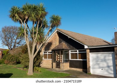 Detached 1970s Suburban Bungalow With A Yucca Australis In The Front Garden In The United Kingdom