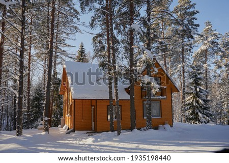 detached two-storey log cabin, with an attic, a beautiful house painted brown, surrounded by a winter coniferous forest, covered in snowdrifts.
