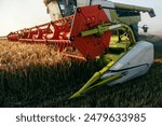 Detail of agricultural harvester