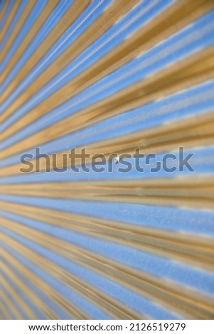 Similar – Image, Stock Photo winter coat Sunlight