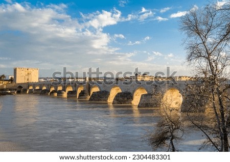 Detail of the ancient Roman bridge of Cordoba, Andalusia, southern Spain