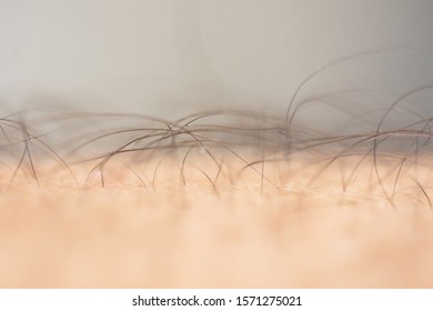 Detail Of Arm Hair Close Up