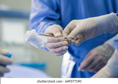 Detail Of Assistant Passing Surgical Equipment To Surgeon Hand With Protective Glove. Surgeon Hand Holding Surgical Tweezers. Closeup Of Surgeons Hands Holding Surgical Scissors With Sterilzed Gauze.