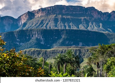 Detail Of Auyantepui Mountain At Uruyen Campsite, Venezuela