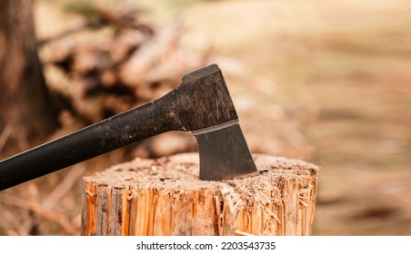 Detail Of Axe. Chops Tree In Wood With Sharp Ax