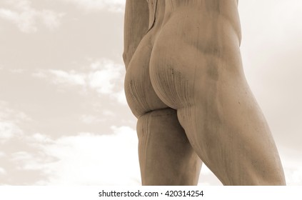 Detail Of The Back Of The Marble Statue With Muscular Legs And Buttocks White