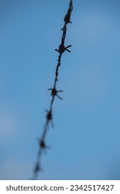 detail of a barbed wire