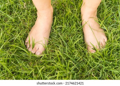 Detail Of Bare Feet On The Grass. Walking Barefoot On The Grass Is A Way Of Getting In Touch With The Energy Of The Earth.