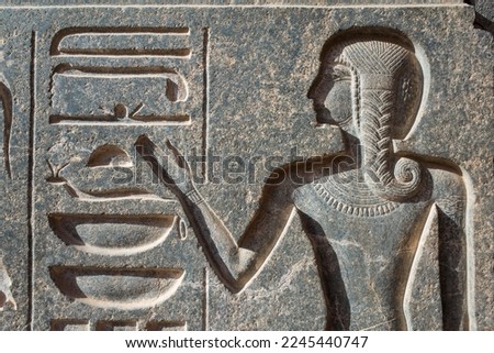 Detail of a bas-relief in the Temple of Luxor, ancient Egyptian inscription and depiction of a man with braided hair, Egypt