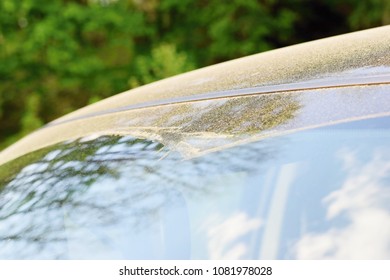 Detail Of Black Car Covered With Layer Of Pollen