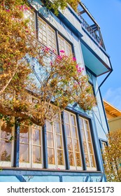 Detail Of Blue West Coast Home And Spring Vines Blooming