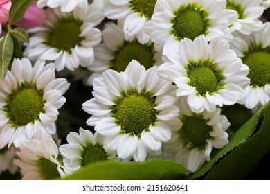 Detail of the Bouquet colorful Flowers  - Shutterstock ID 2151620641