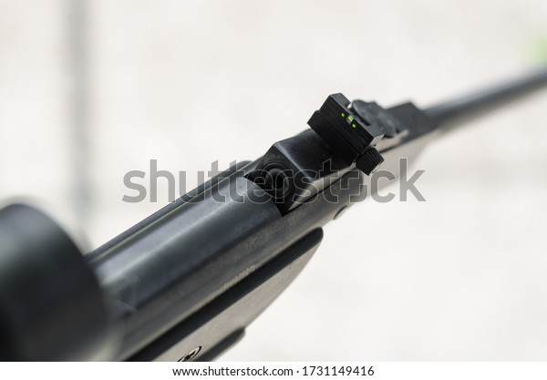 Detail of\
the breech of a classic air rifle. Closeup of opened air gun.\
Pellet has inserted to chamber. Open air\
rifle