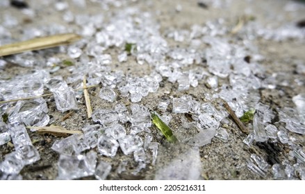 Detail Broken Glass Garbage Danger Due Stock Photo 2205216311 ...