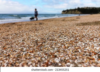 Detail Of Broken Shells On Beach