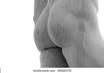 Detail Of The Butt Of The Statue Of Marble With Solid Buttocks