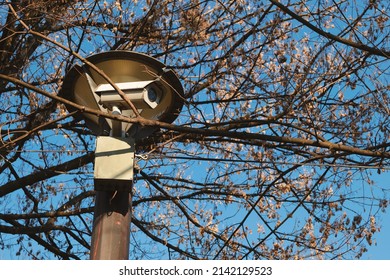 Detail Of A Camera Hidden In A Tree Canopy, Detail From A City Park.