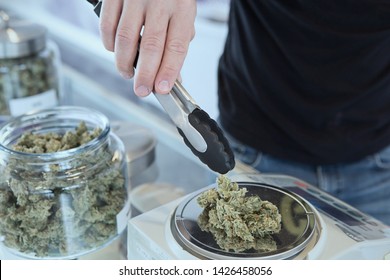 Detail of cannabis buds on glass jar over dispensary counter - medical marijuana dispensary. Budtender Guiding . Cannabis Flowers.