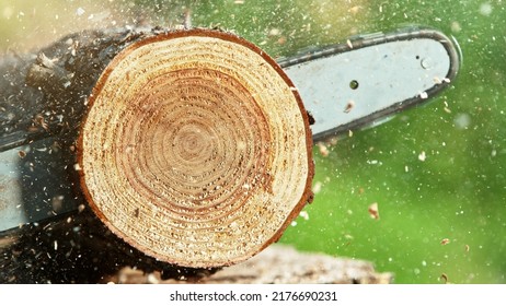 Detail of chainsaw saws the timber log. Lumberjacking and woodcutting in freeze motion. - Powered by Shutterstock