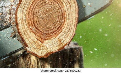 El detalle de las sierras de la motosierra es el tronco de la madera. Embalaje y corte de madera en movimiento congelante.