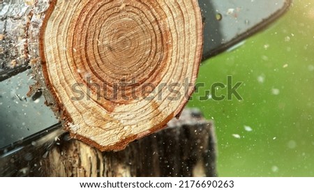 Detail of chainsaw saws the timber log. Lumberjacking and woodcutting in freeze motion.