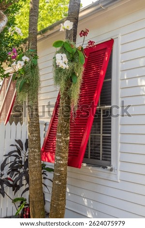 Detail of a colorful house with red wooden shutters and orchids in a tropican yard garden, vibrant colors architecture in Key West, Florida