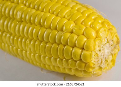 Detail of corncob of yellow sweet corn, fresh raw maize isolated on white background