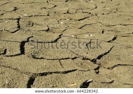 detail of cracked soil on the bottom of dry pond