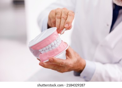 Detail Of Doctor Holding Plastic Jaw Model For Stomatology And Explaining Necessary Procedure To Patient At Dentist Office