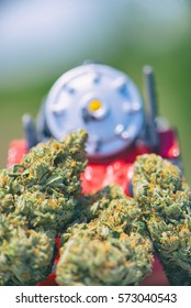 Detail Of Dried Cannabis Buds (Train Wreck Strain) With Plastic Toy - Medical Marijuana Concept Background