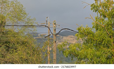 Detail of electricity poles surrounded by trees in the mountains of Girona, Catalonia, Spain  - Shutterstock ID 2176823997