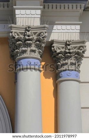 Detail of engaged columns with Composite order capitals framing the entrance door to the De Lacy building from Victoria steet., part of St.Vincent's hospital-Darlinghurst suburb. Sydney-NSW-Australia.