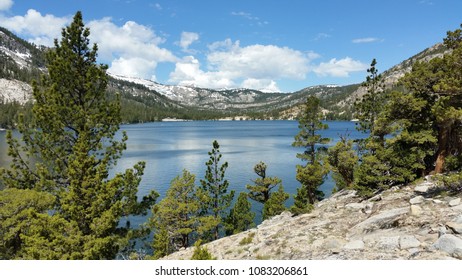 Detail From Fallen Leaf Lake, California