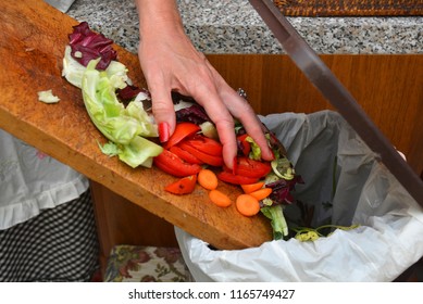 Detail of a female hand throwing organic waste in a proper bin with kitchen in the background. - Powered by Shutterstock