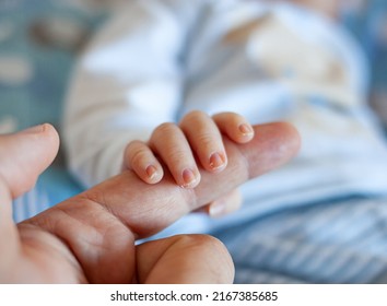 Detail of the fingers of a newborn, especially the nails. Newborn babies have long, sharp nails full of nerve endings. - Shutterstock ID 2167385685