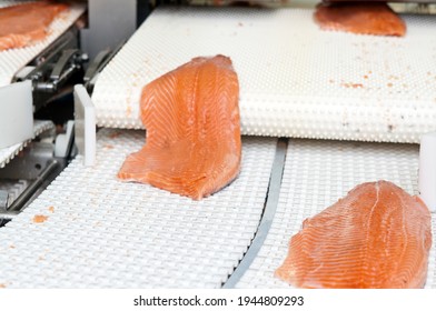 The Detail Of A Fish Salmon Factory, Processing Line. Fish And Food Industry Abstract.