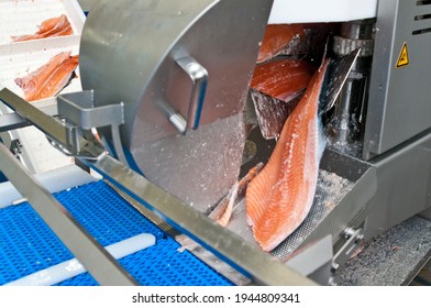 The Detail Of A Fish Salmon Factory, Processing Line. Fish And Food Industry Abstract.